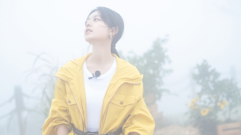 原神魈怎么配队 魈配队阵容推荐